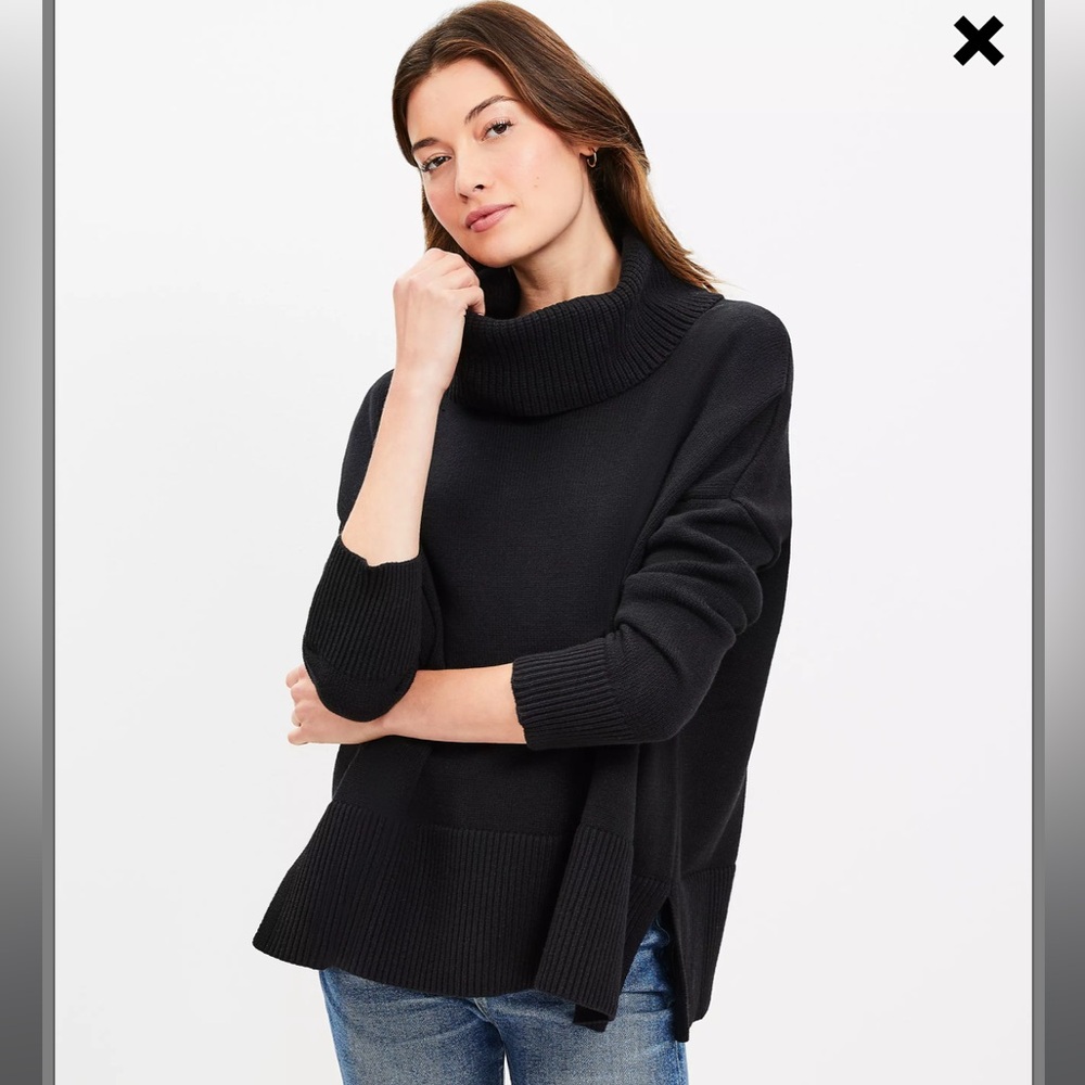 Loft Turtleneck Sweater
